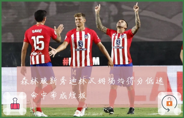 森林狼新秀迪林汉姆场均得分低迷，命中率成短板