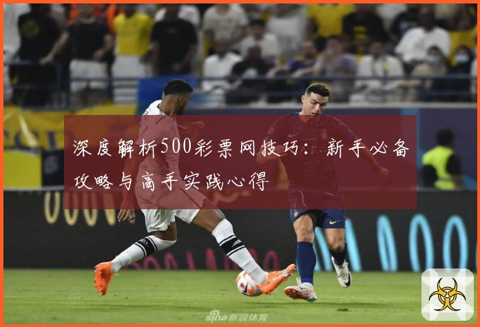 深度解析500彩票网技巧：新手必备攻略与高手实践心得