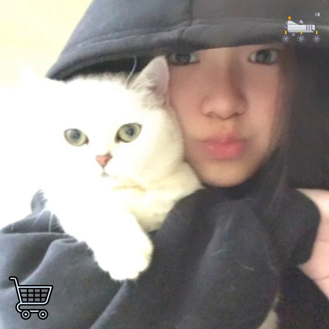 球迷联盟（江苏省）